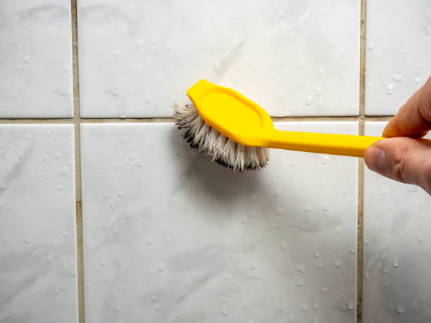 Best Residential Mold Removal  in Robie Creek, ID