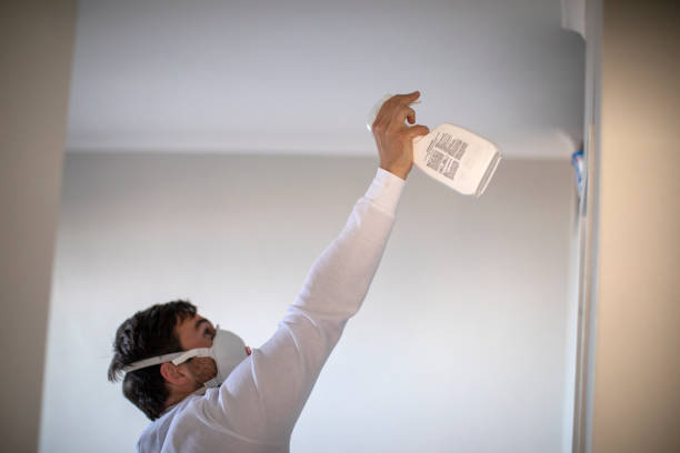 Best Toxic Mold Removal  in Robie Creek, ID
