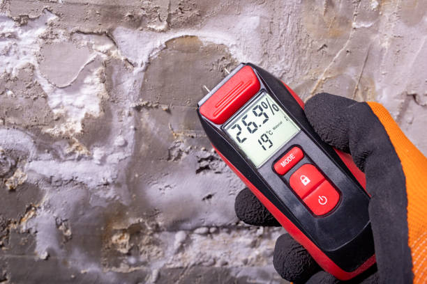 Best Mold Testing  in Robie Creek, ID