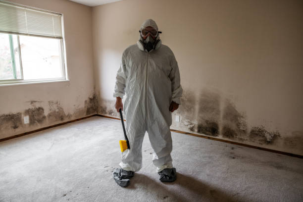Best Office Mold Removal Services  in Robie Creek, ID
